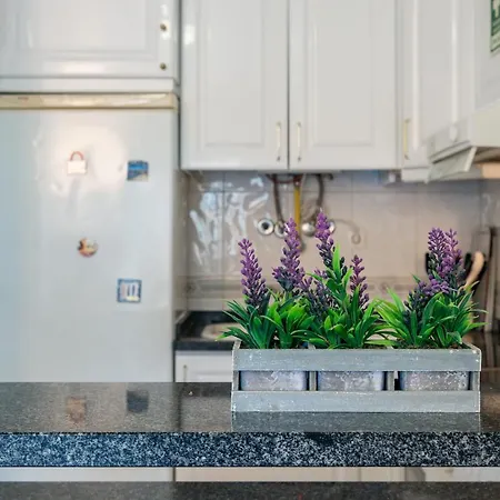 Pedra Dos Bicos By Intiholidays Appartement